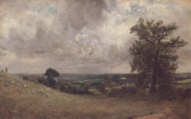John Constable West End Fields,Hanpstend,noon oil painting picture